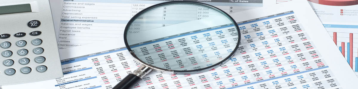Assurance Due-Diligence